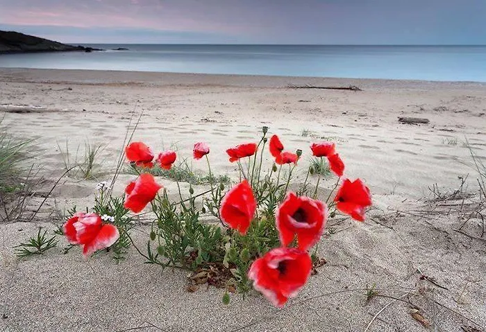 Apolonia Palace Sinemorec