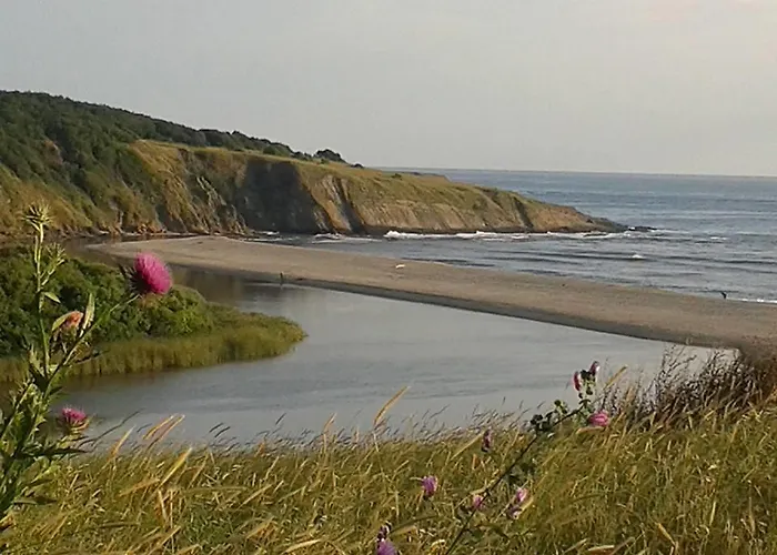 Apolonia Palace Hotel apartamentowy Sinemorec