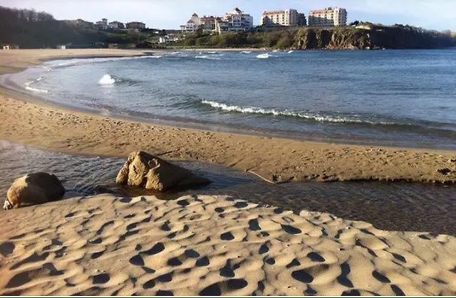 Apolonia Palace Hotel apartamentowy 4*