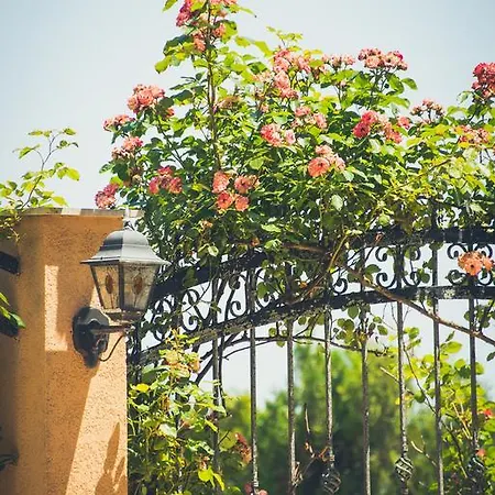 Apolonia Palace Appart hôtel Sinemoretz