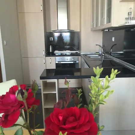 Apolonia Palace 4* Sinemoretz